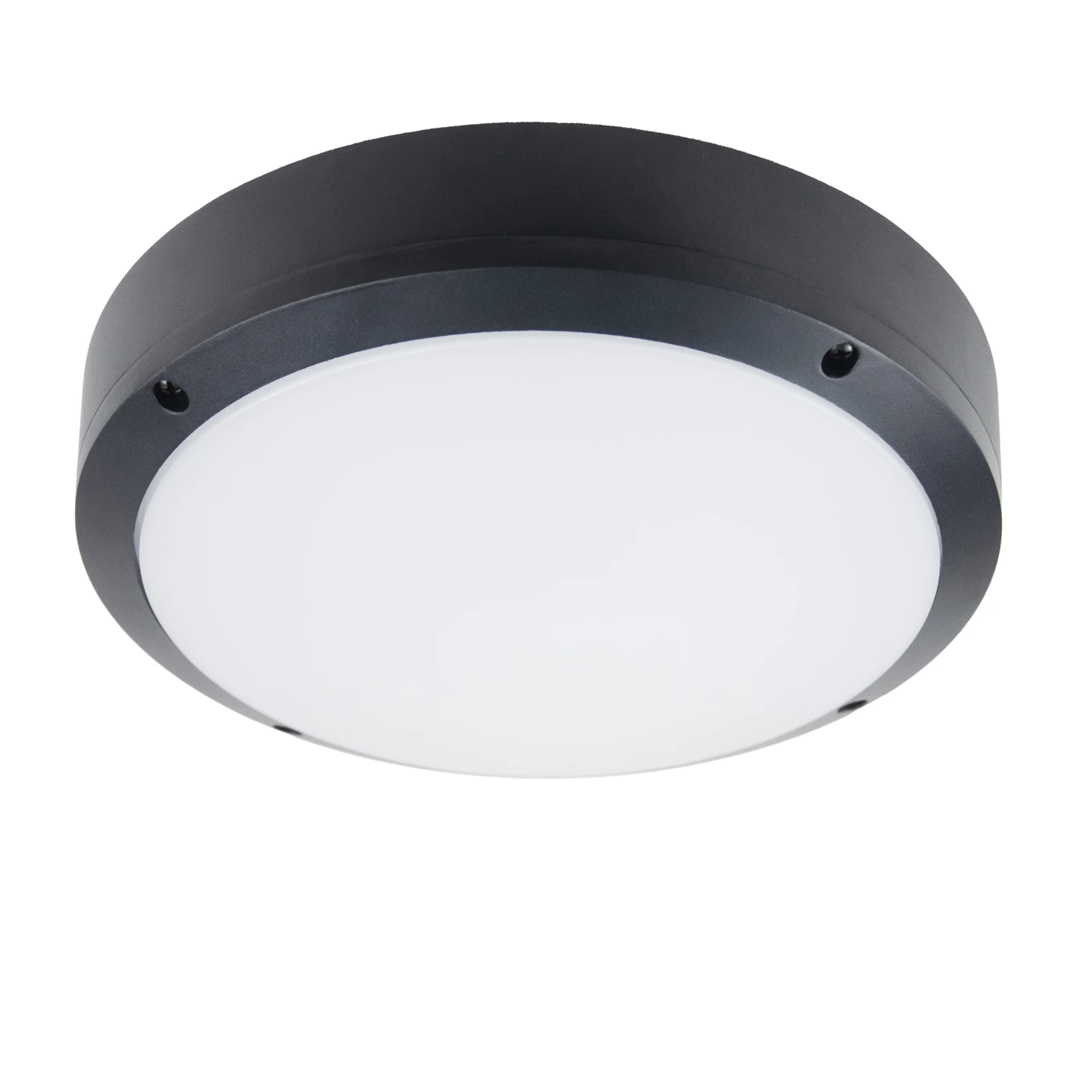 GD-AWX055-1: round diffuser wall light, product view