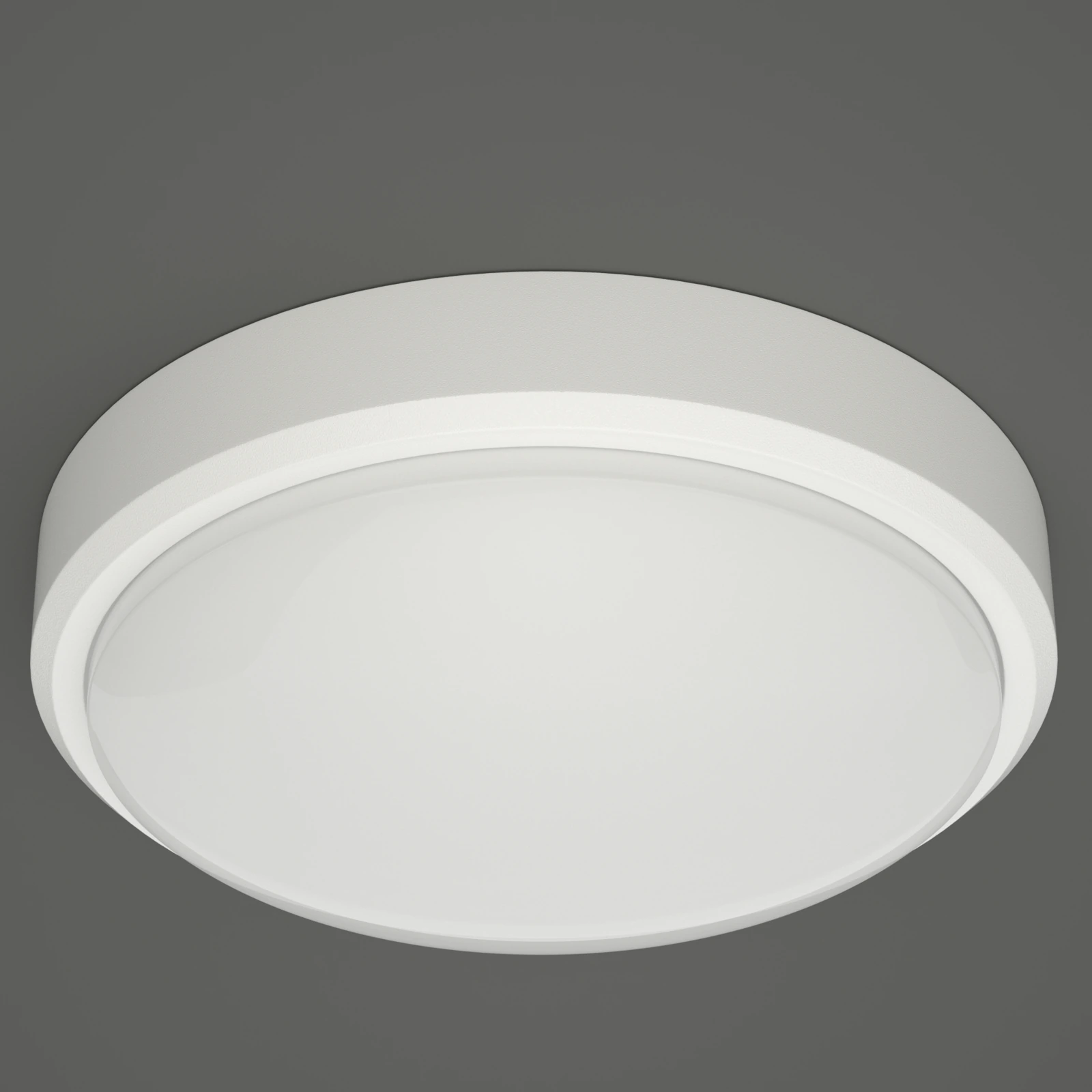 GD-WP04 Round opal ceiling light · White
