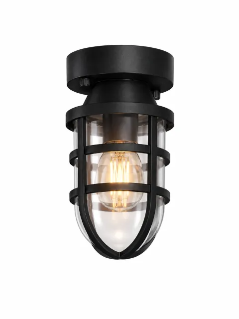 GD-PCL019 — Caged Clear Ceiling Lantern